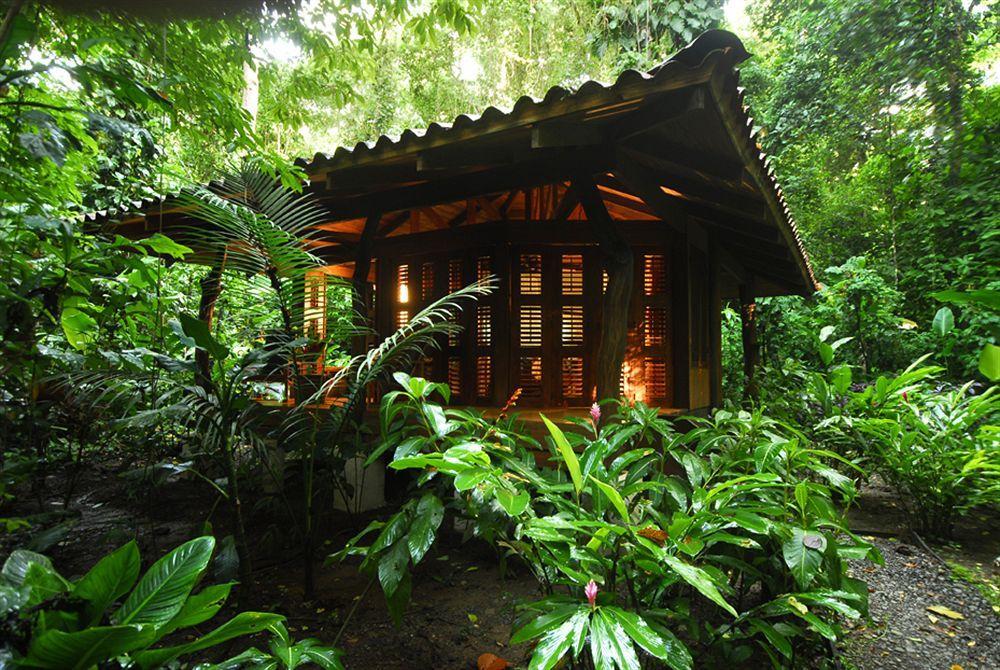 Playa Nicuesa Rainforest Eco Sanctuary Golfito Dış mekan fotoğraf